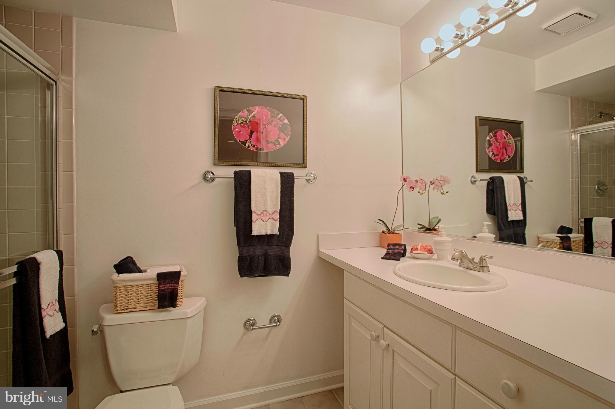 11311 Fieldstone Lane Reston, VA 20191 - Photo 26 of 30 a bathroom with a sink mirror and toilet