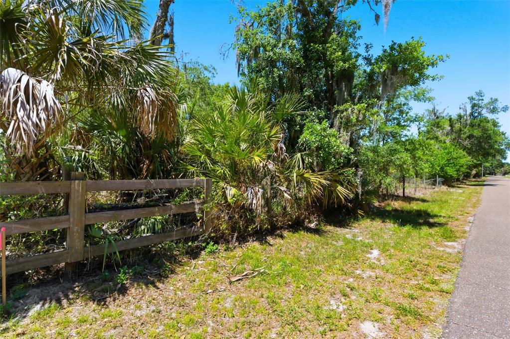 19084 Red Bird Lane, Unit LOT 2 Lithia, FL 33547 - Photo 4 of 20