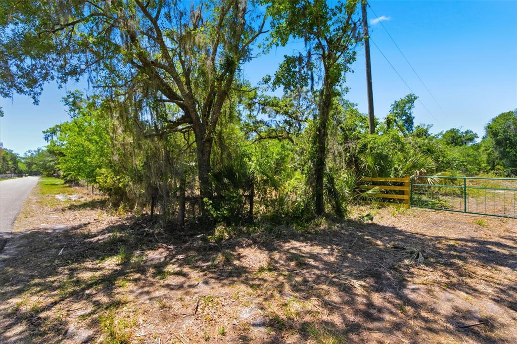19084 Red Bird Lane, Unit LOT 2 Lithia, FL 33547 - Photo 6 of 20