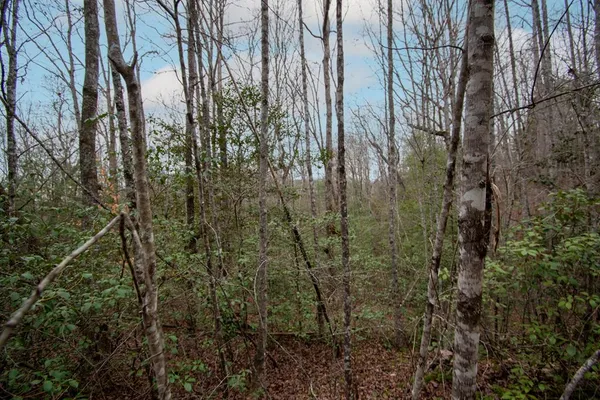 $19,900 | Lot 6 Posey Place, Murphy, NC 28906