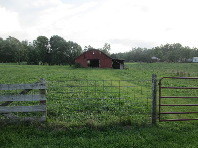 2724 Martha Washington Road Clarkrange, TN 38553 - Photo 14 of 15 14 Barn and field