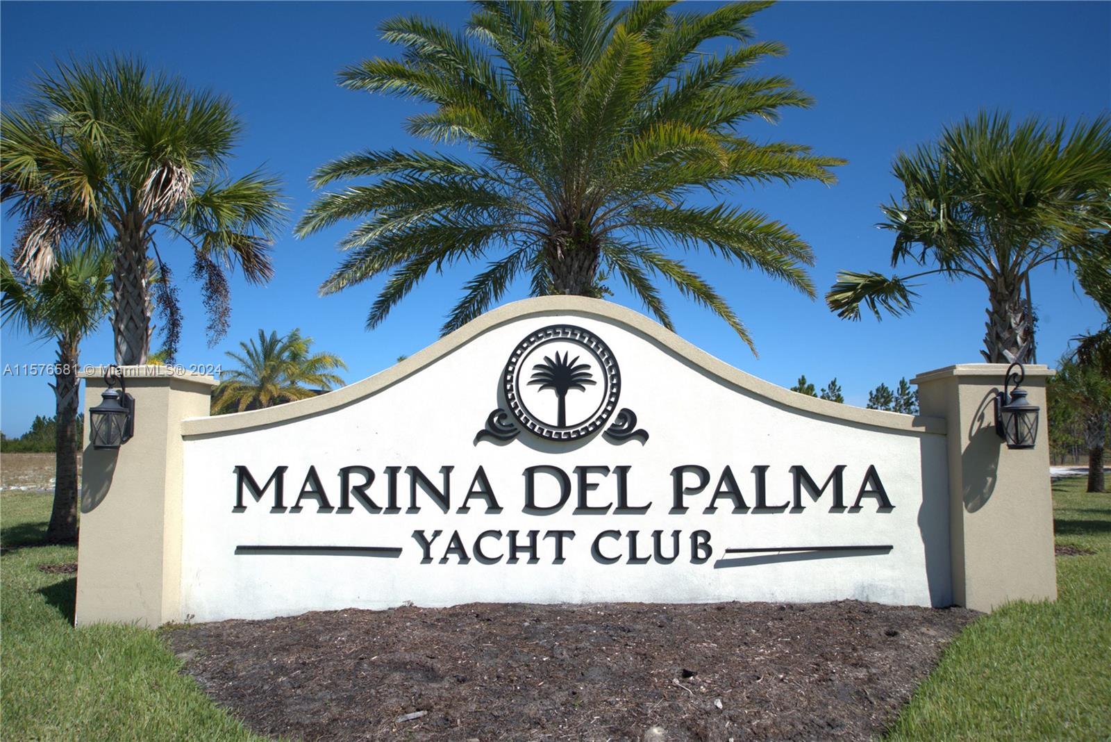 a view of a sign under a palm tree