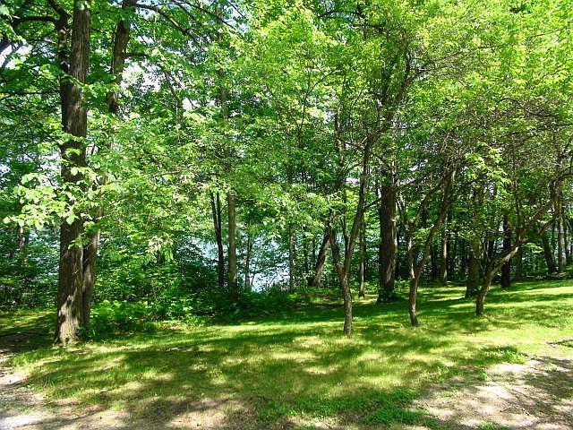 17136 Hidden Lake Road Fifty Lakes, MN 56448 - Photo 47 of 53