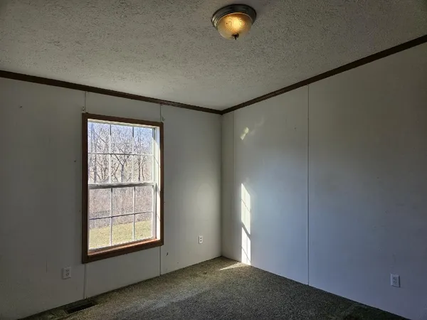 $140,000 | 222 Cove Mountain Lane, Buchanan, VA 24066