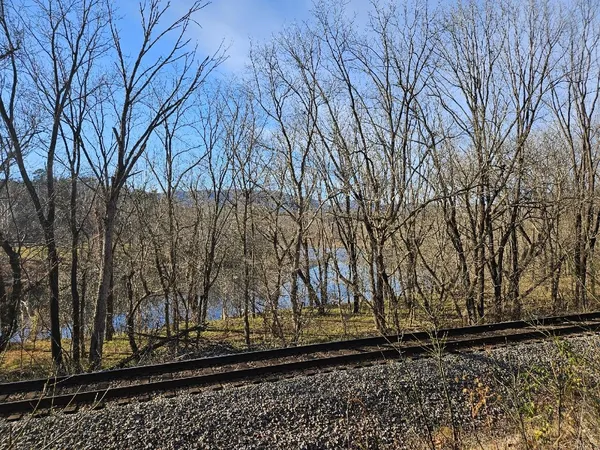 $140,000 | 222 Cove Mountain Lane, Buchanan, VA 24066