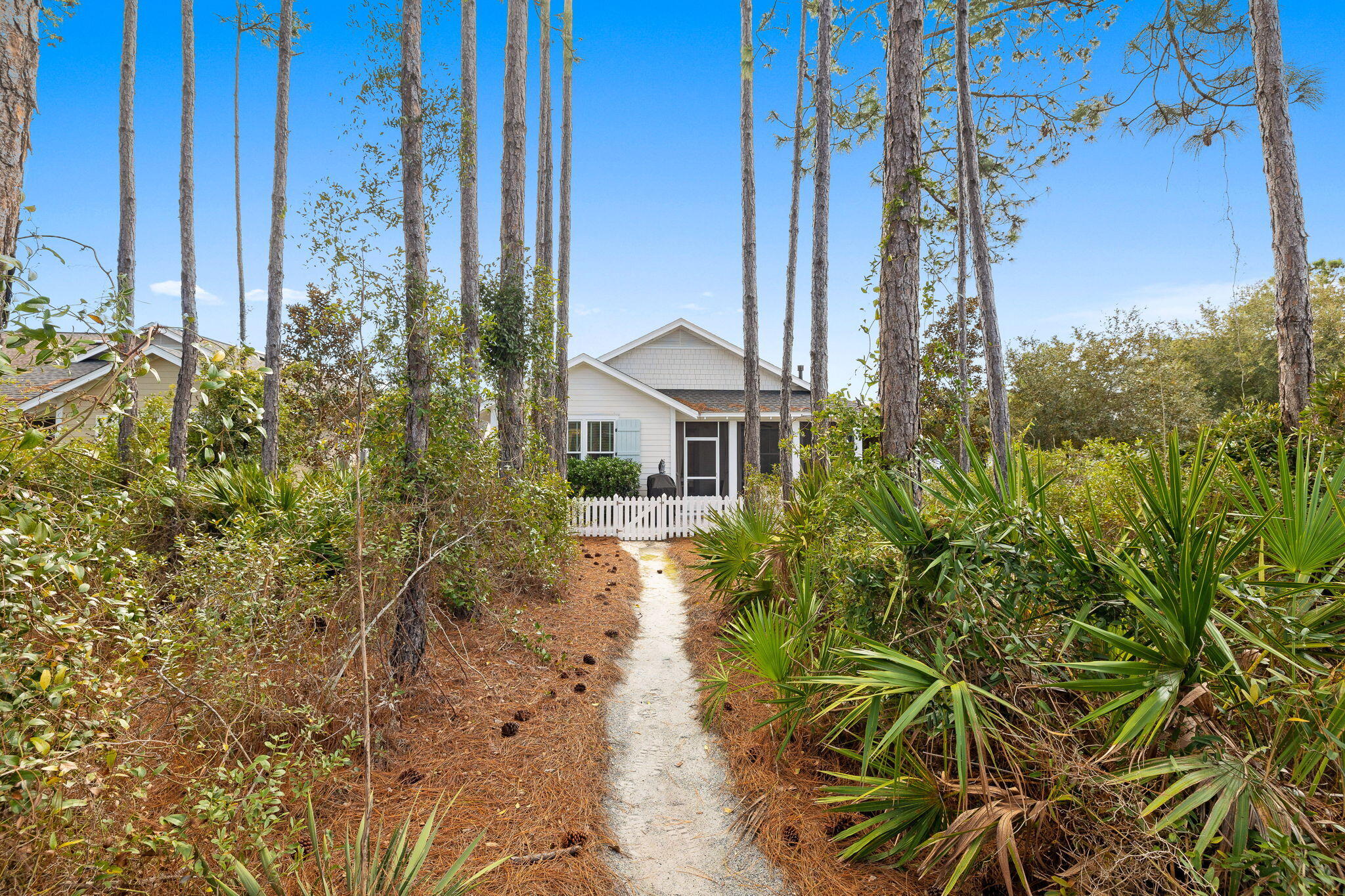 178 Jack Knife Drive Inlet Beach, FL 32461 - Photo 13 of 69 a view of a garden with a house in the background