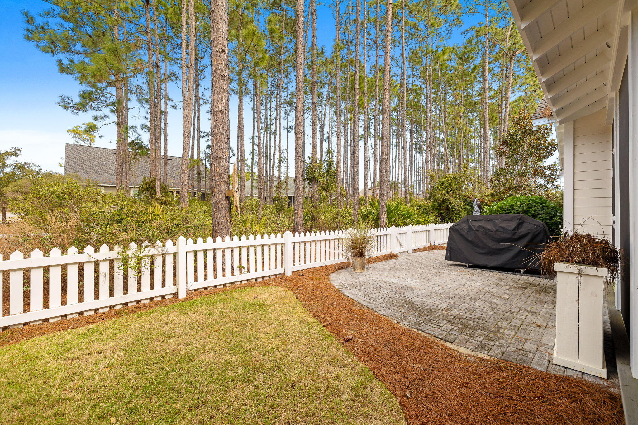 178 Jack Knife Drive Inlet Beach, FL 32461 - Photo 17 of 69 a view of backyard with large trees and wooden fence