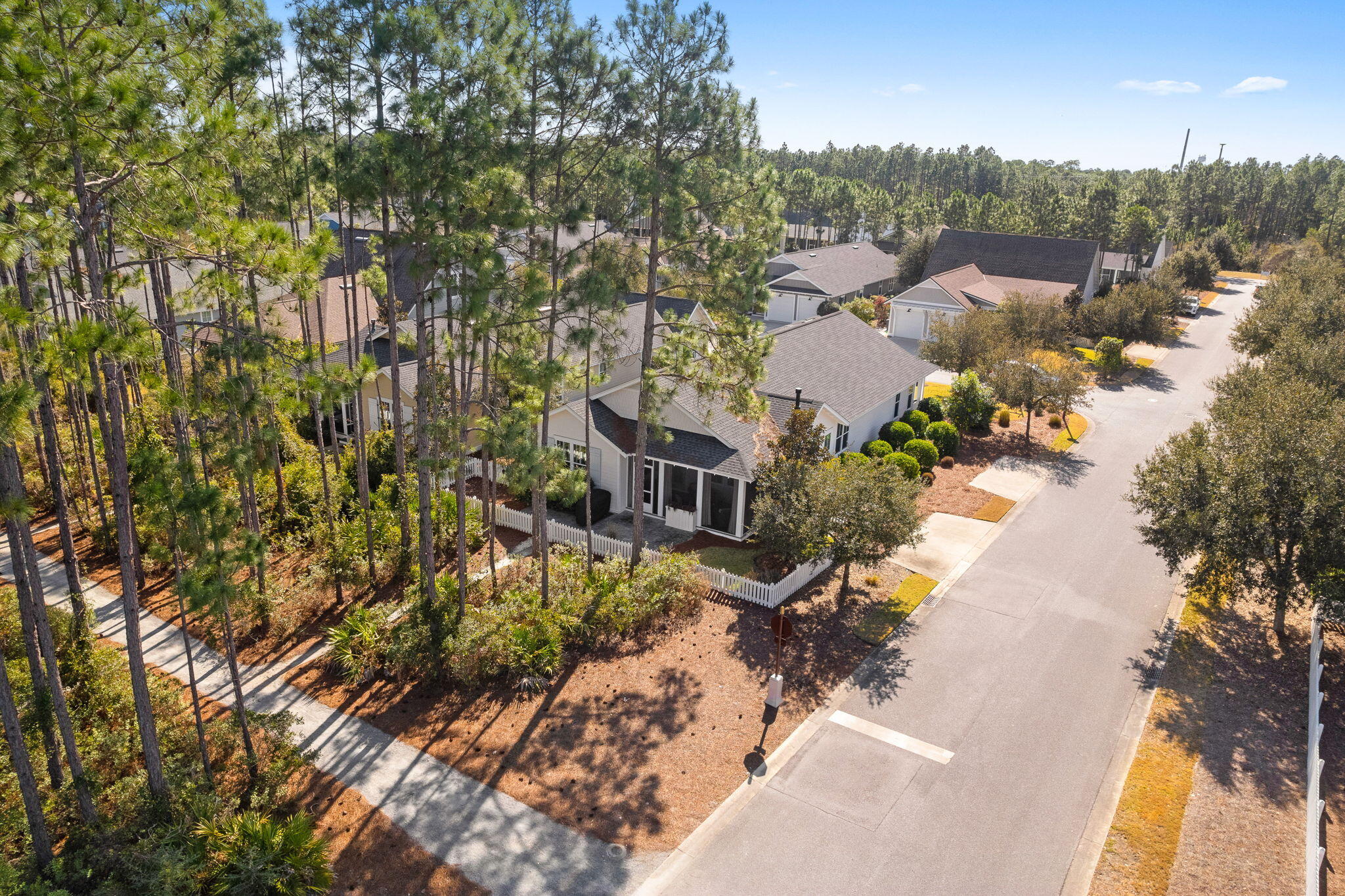 178 Jack Knife Drive Inlet Beach, FL 32461 - Photo 10 of 69 a view of a house with a yard