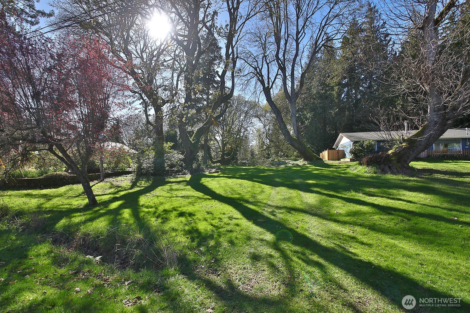 0 Lopez Drive Clinton, WA 98236 - Photo 1 of 18 a view of a park with large trees