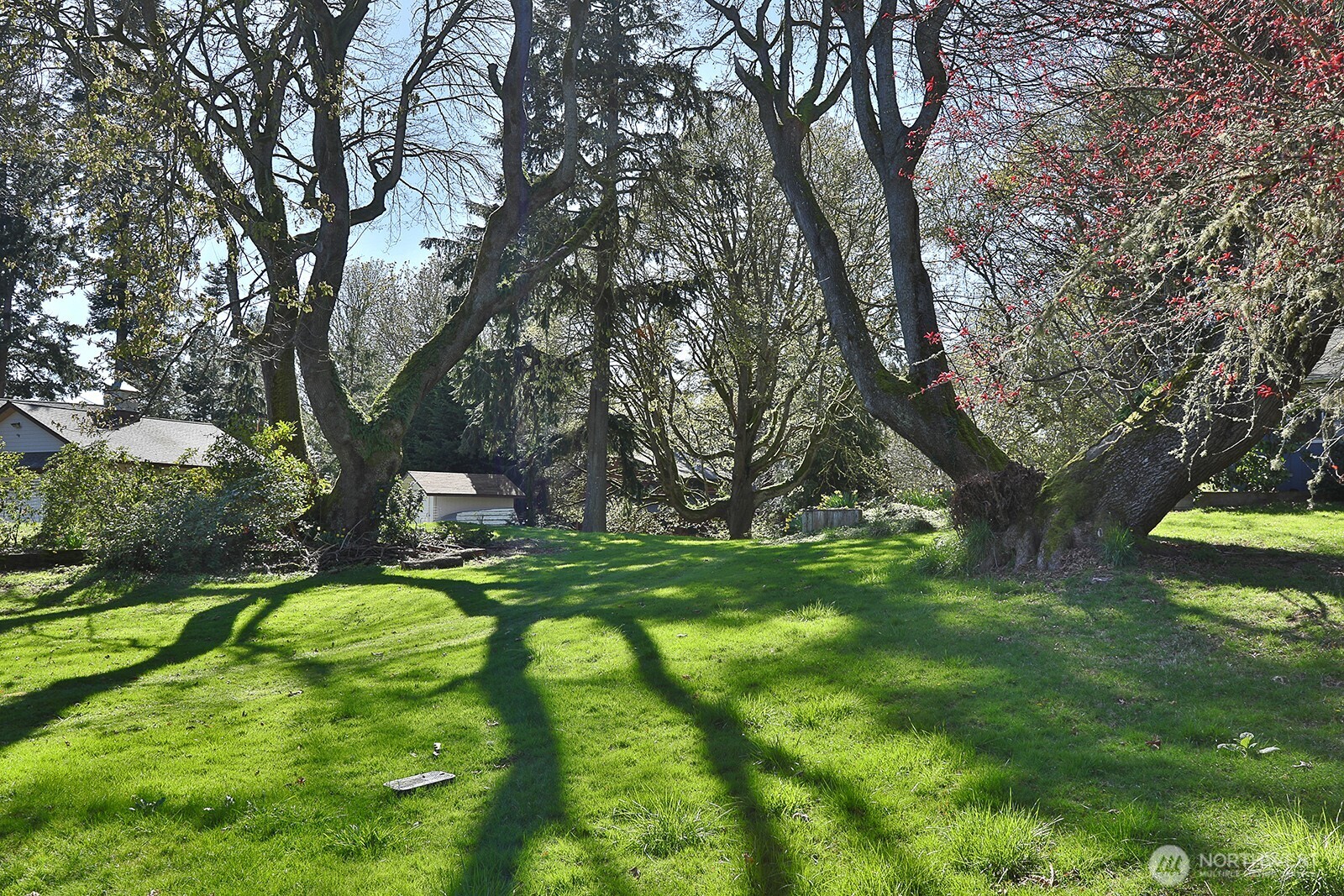 0 Lopez Drive Clinton, WA 98236 - Photo 5 of 18 a backyard of a house with a yard and outdoor seating