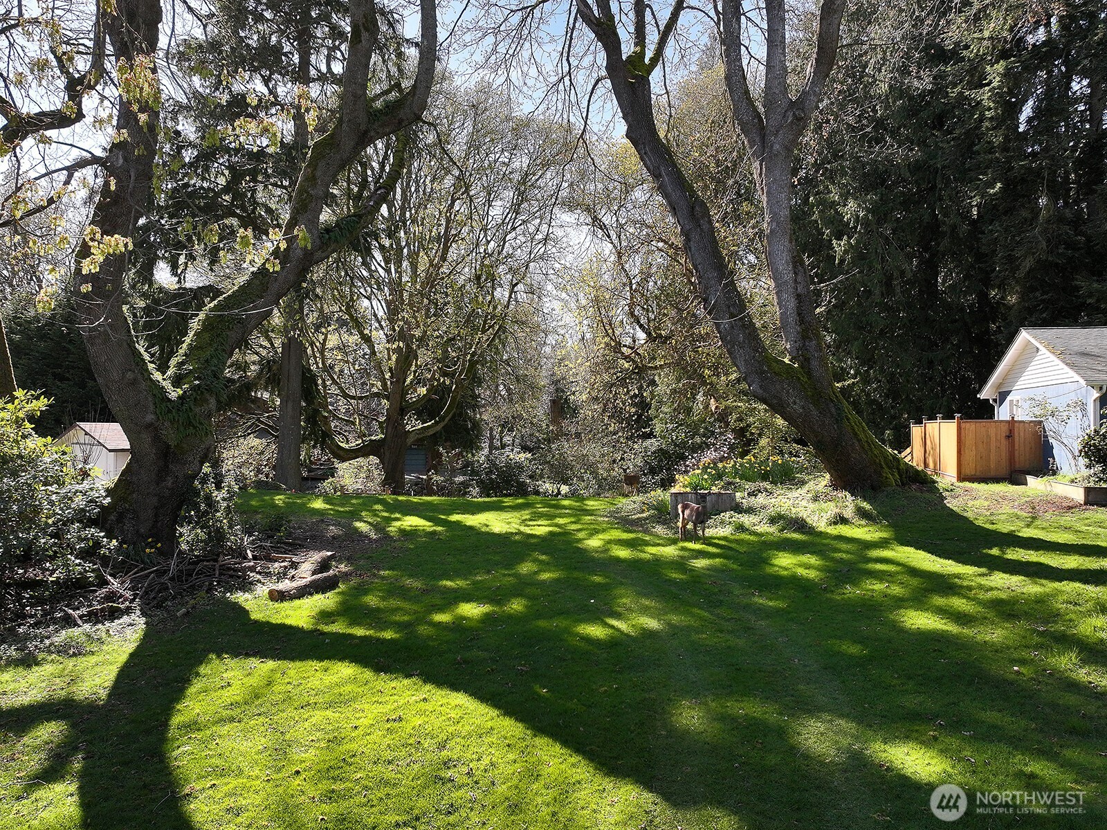 0 Lopez Drive Clinton, WA 98236 - Photo 8 of 18 a backyard of a house with lots of green space