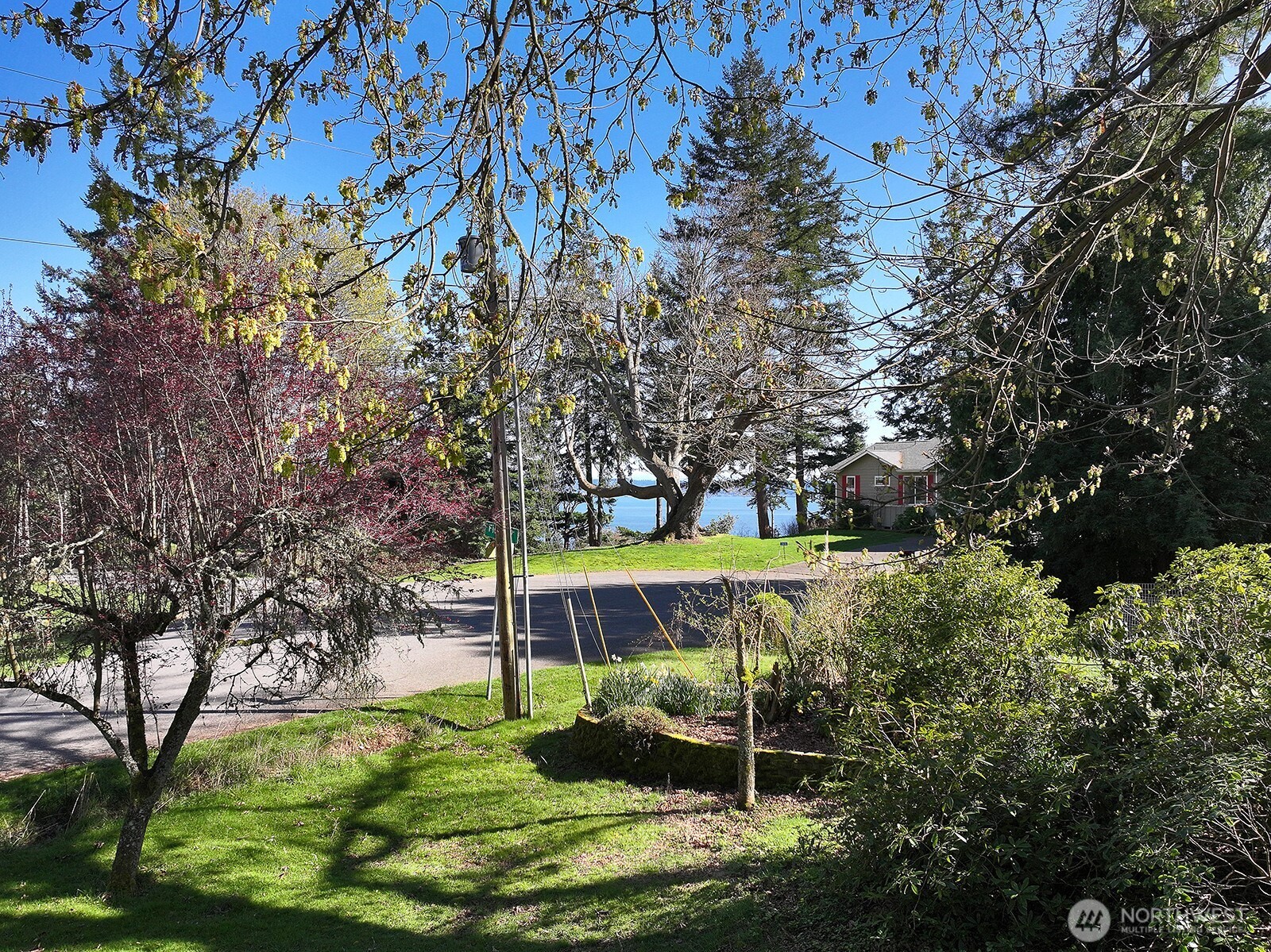 0 Lopez Drive Clinton, WA 98236 - Photo 10 of 18 a view of a park with large trees
