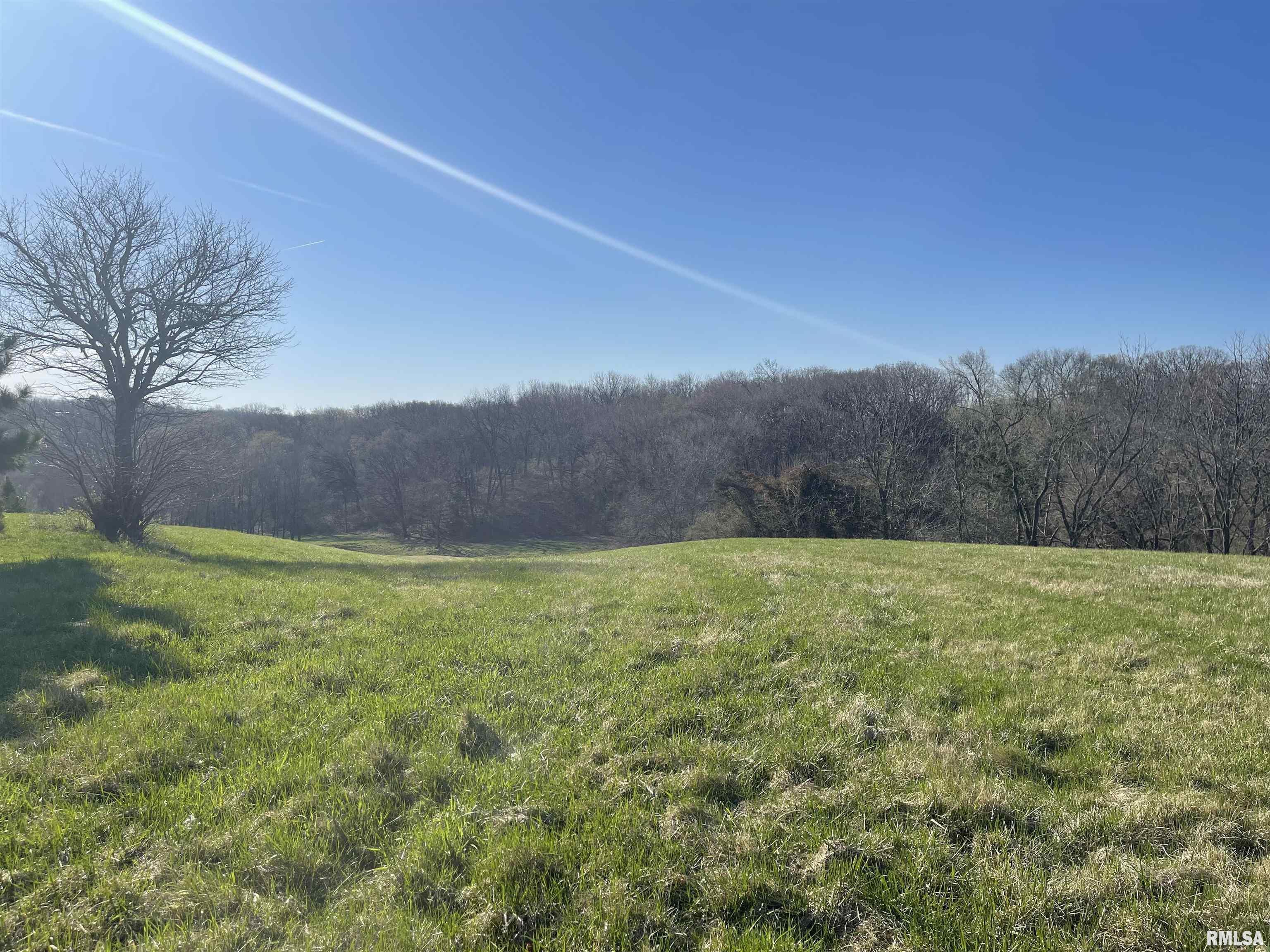 9819 Turkey Hollow Road Taylor Ridge, IL 61284 - Photo 2 of 7 Gallery Image 2
