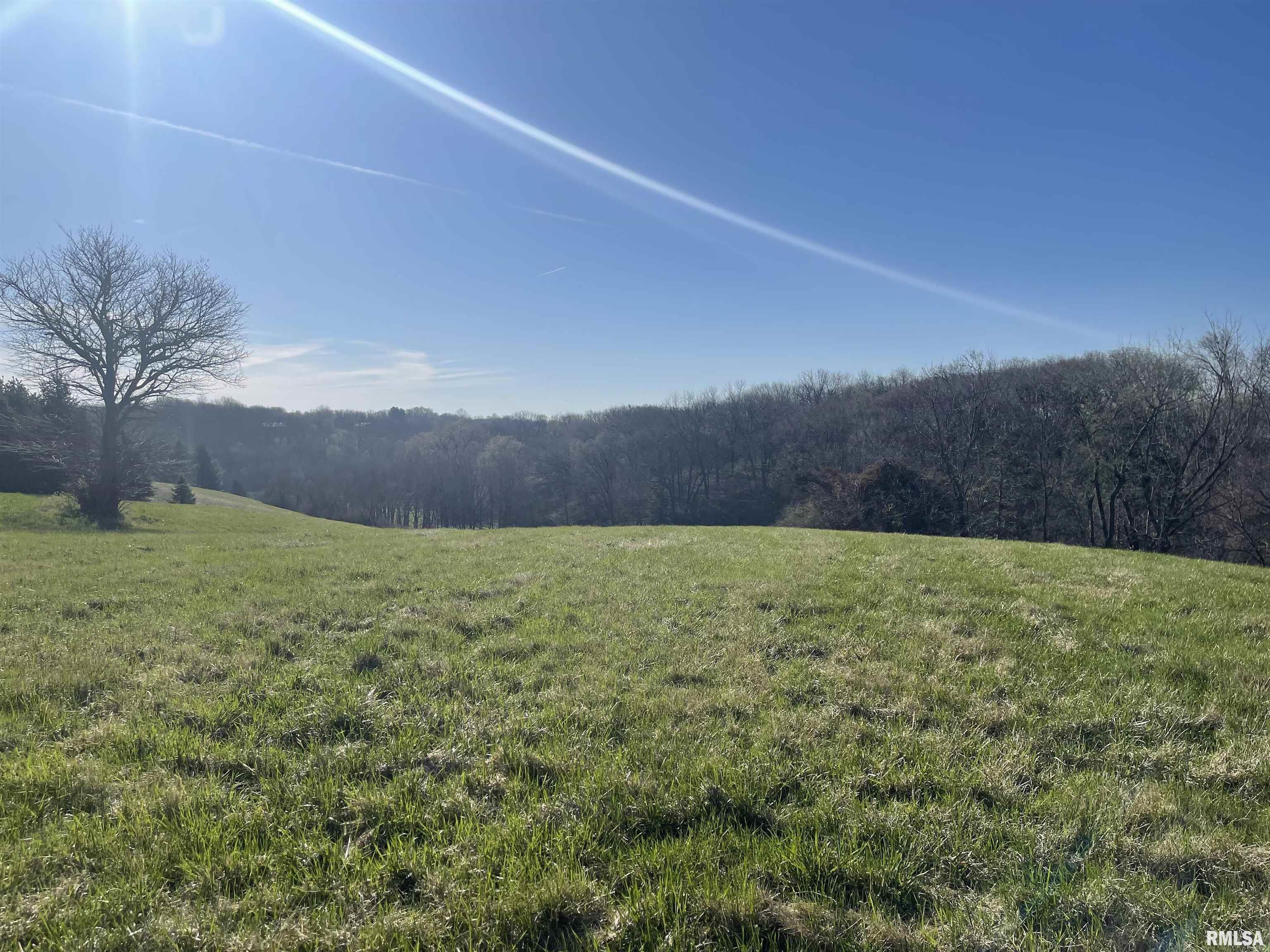 9819 Turkey Hollow Road Taylor Ridge, IL 61284 - Photo 3 of 7 Gallery Image 3