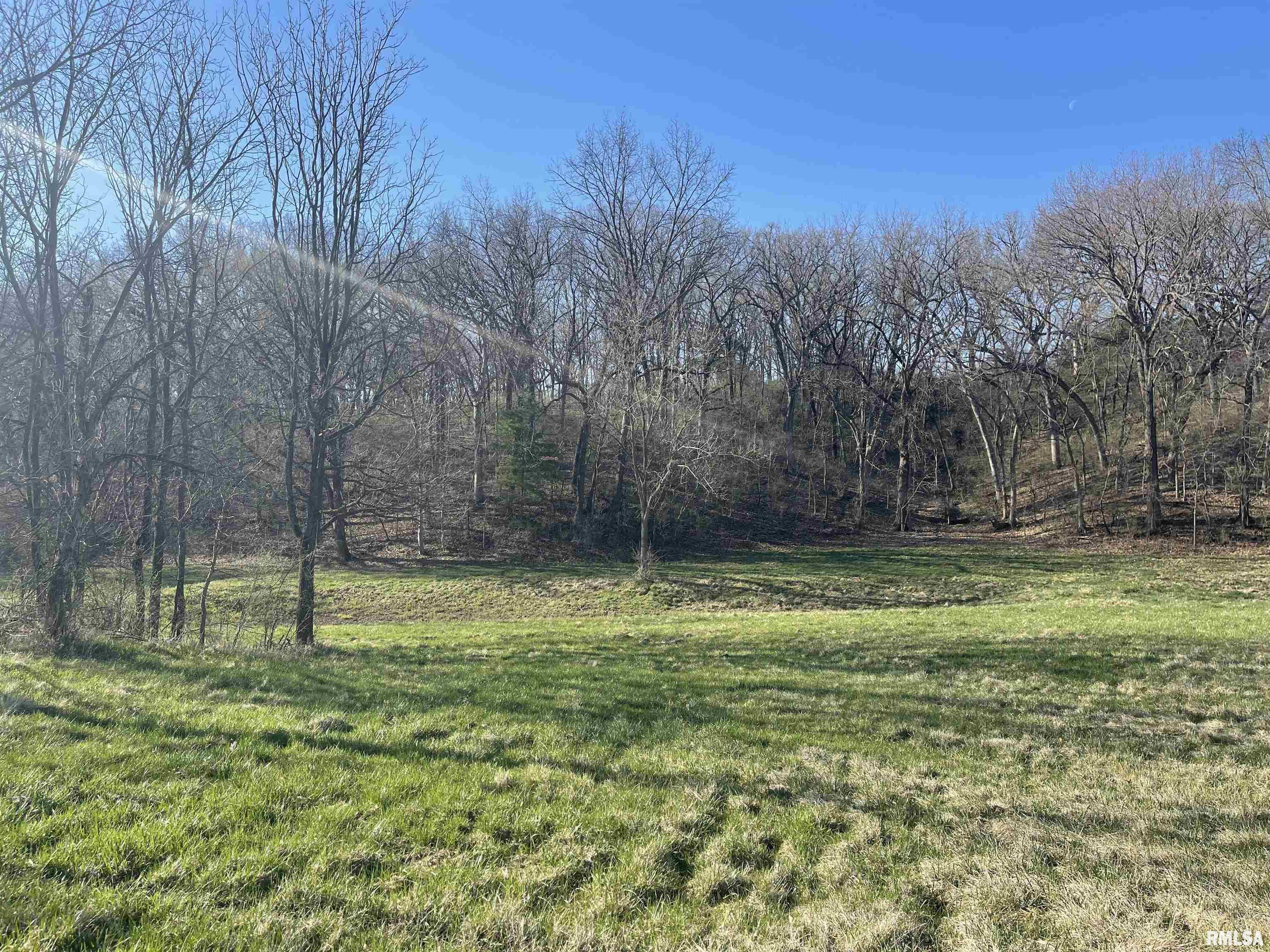 9819 Turkey Hollow Road Taylor Ridge, IL 61284 - Photo 7 of 7 Gallery Image 7