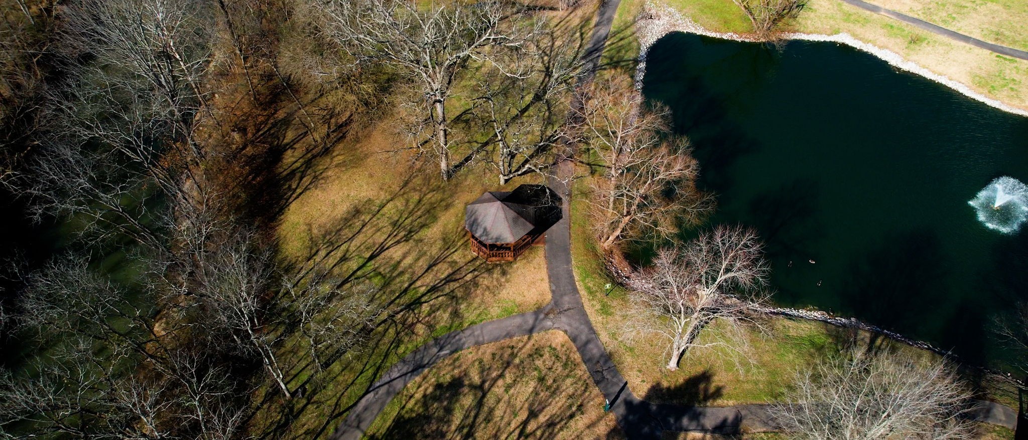 1138 Culpepper Circle Franklin, TN 37064 - Photo 44 of 46