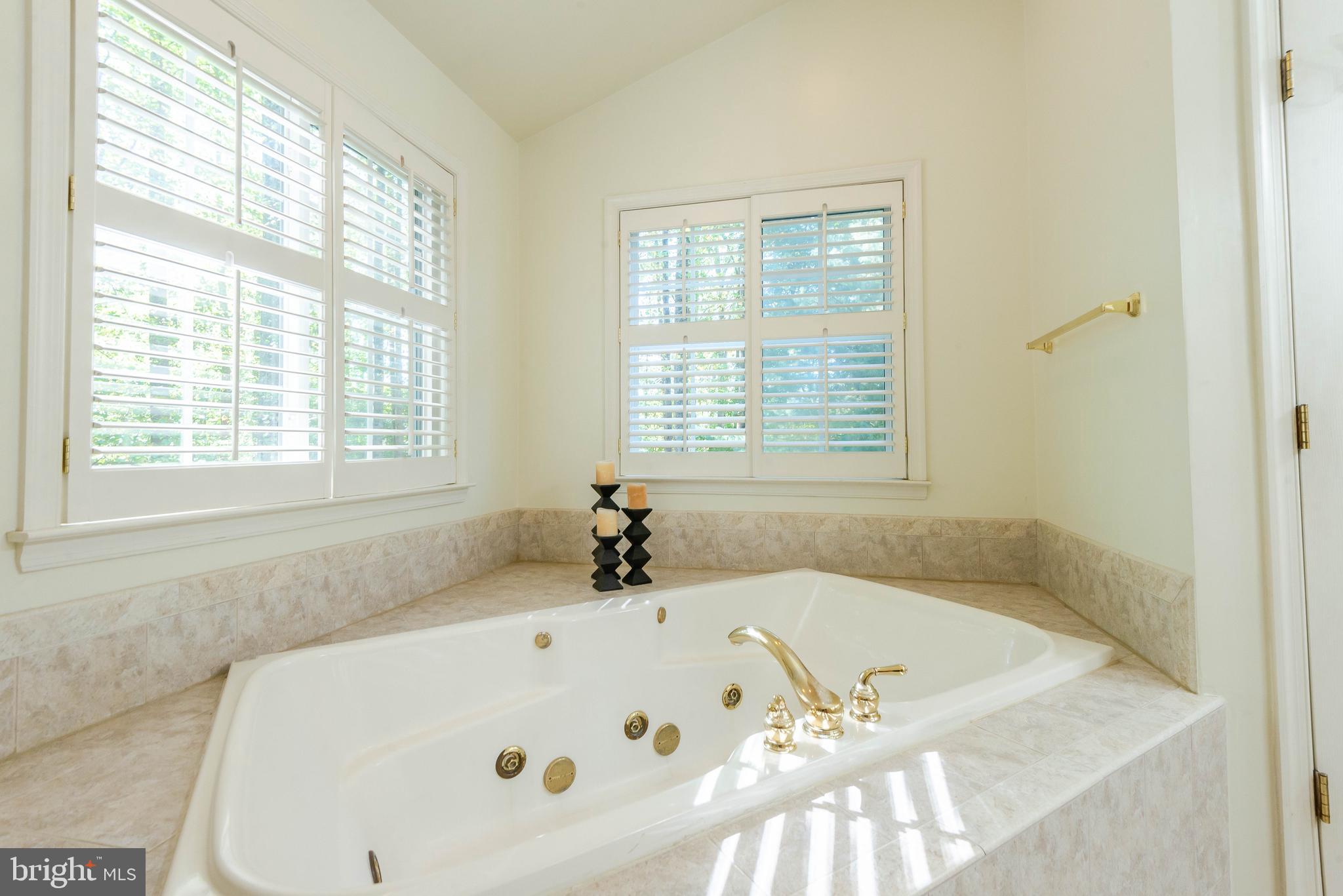 7 Durkee Farm Road Reisterstown, MD 21136 - Photo 34 of 67 Perfect soaking tub in primary bath