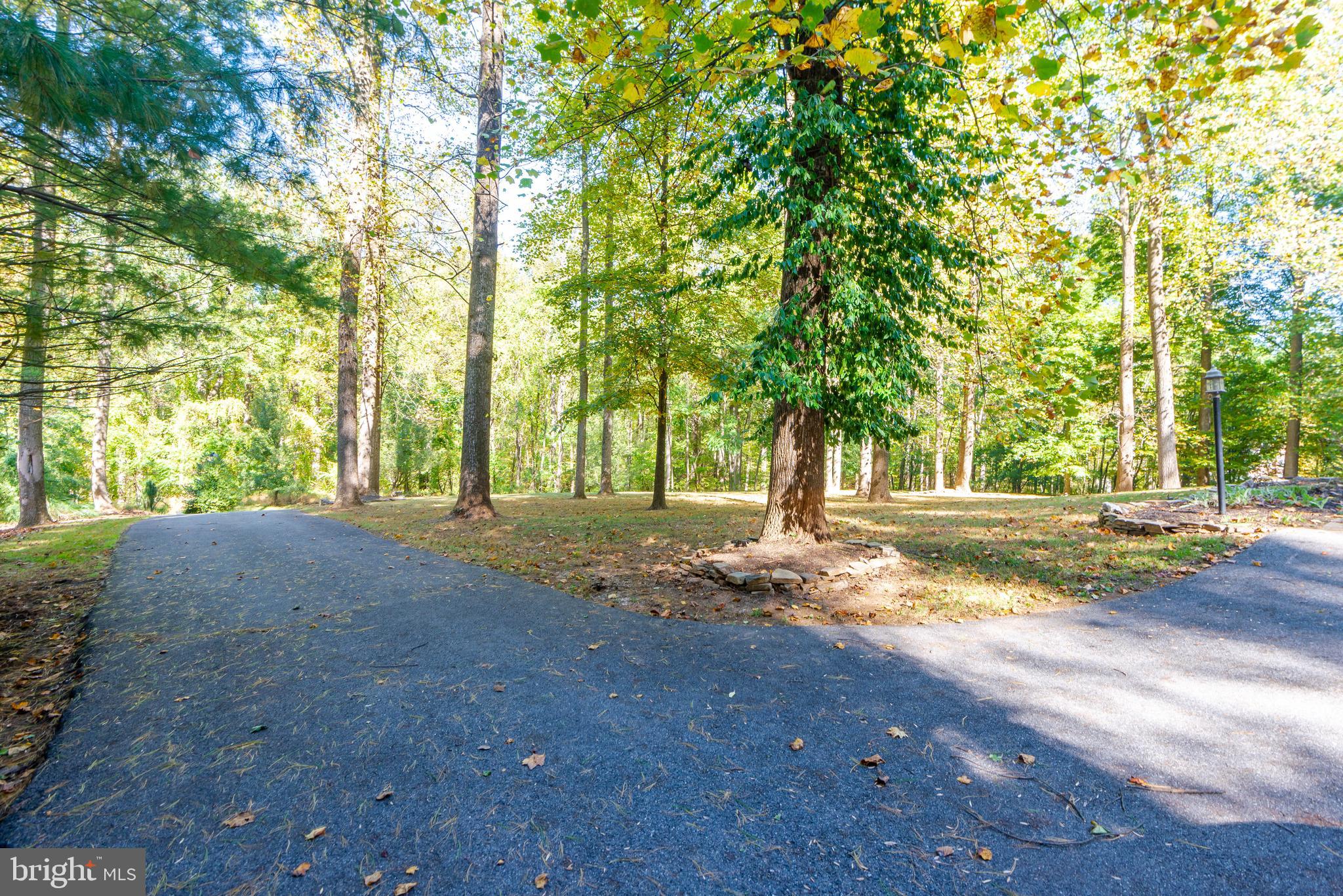 7 Durkee Farm Road Reisterstown, MD 21136 - Photo 64 of 67 Wonderful mature trees out front