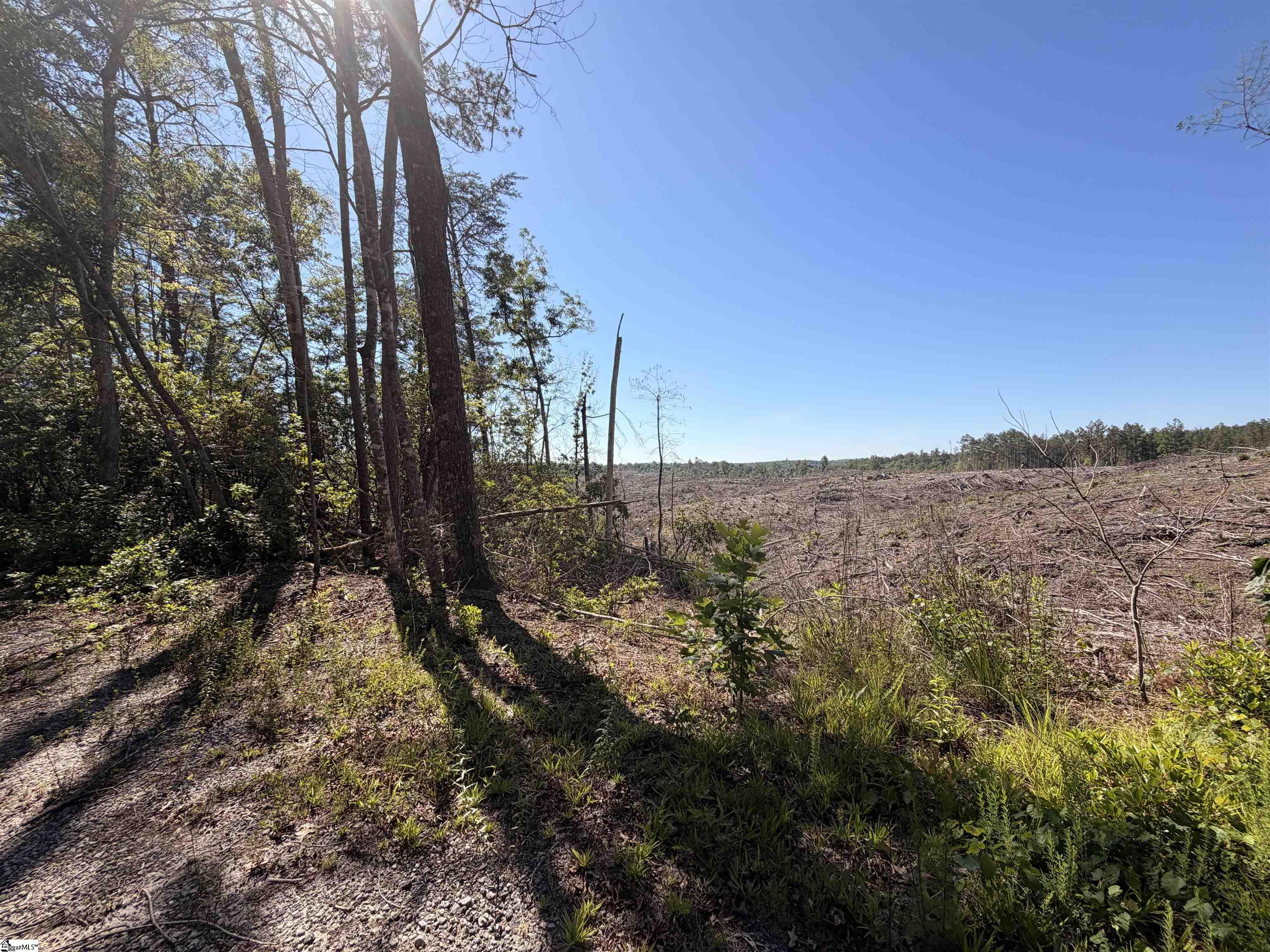 309 Knox Creek Road Tamassee, SC 29686 - Photo 9 of 11