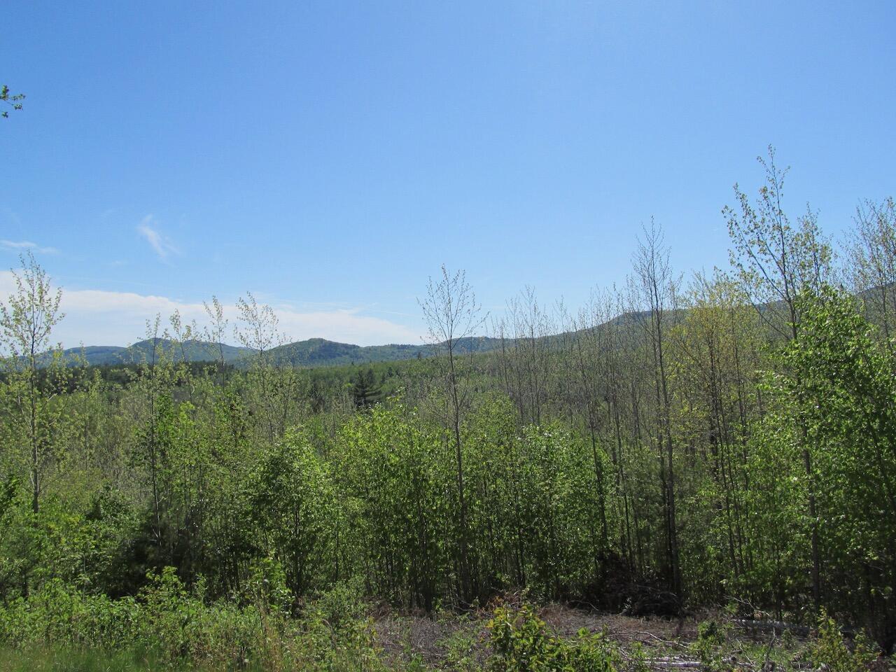 45 West Side Road Dixfield, ME 04224 - Photo 1 of 9 IMG_1202