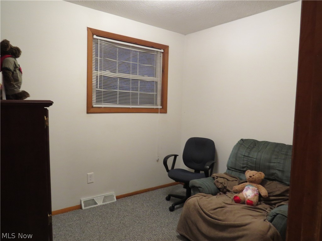 36379 Capel Road Grafton, OH 44044 - Photo 10 of 15 Gallery Image 10