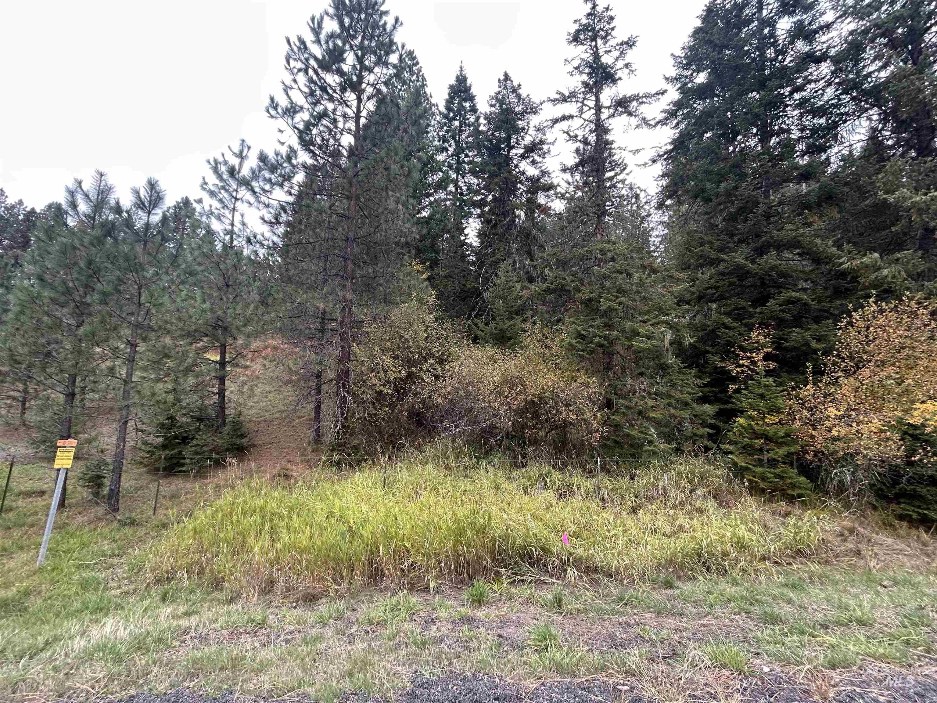 Tbd Lot 1 Tbd Road Kamiah, ID 83536 - Photo 16 of 16