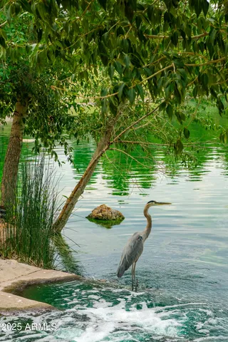 $2,995,000 | 4927 East Mt Pleasant Drive, Flagstaff, AZ 86004