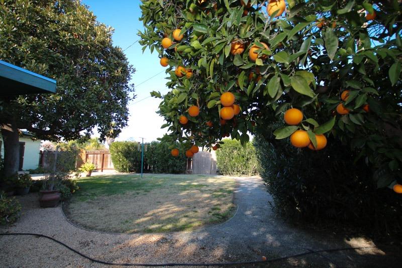 1276 North Pecan Avenue Reedley, CA 93654 - Photo 45 of 52 Gallery Image 45