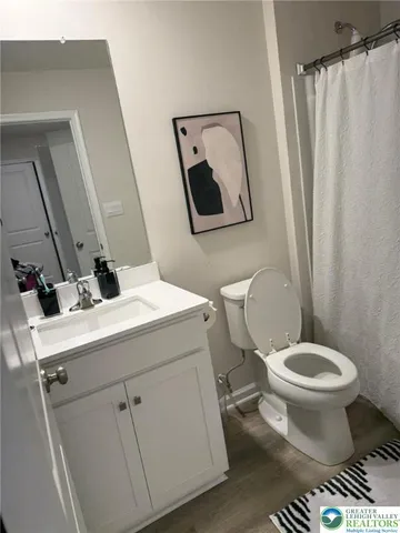 a bathroom with a sink toilet and mirror