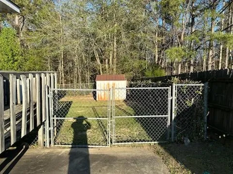 a view of a backyard
