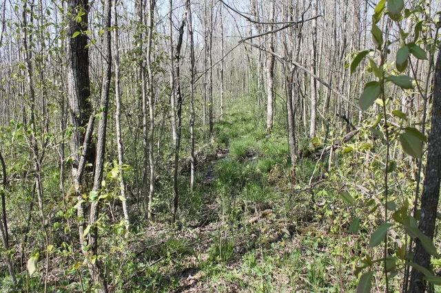 $124,000 | 2668 M T Nelson Road, Barnum, MN 55707