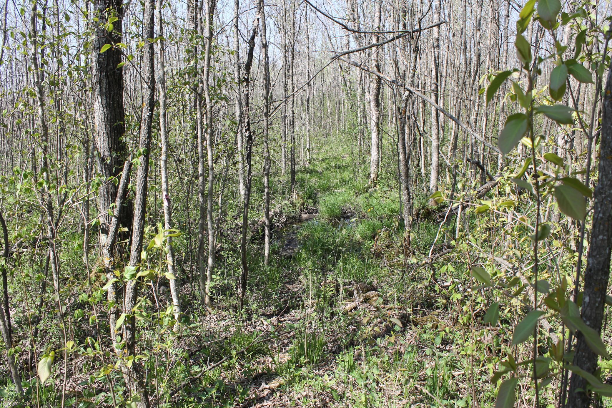 2668 M T Nelson Road Barnum, MN 55707 - Photo 12 of 25