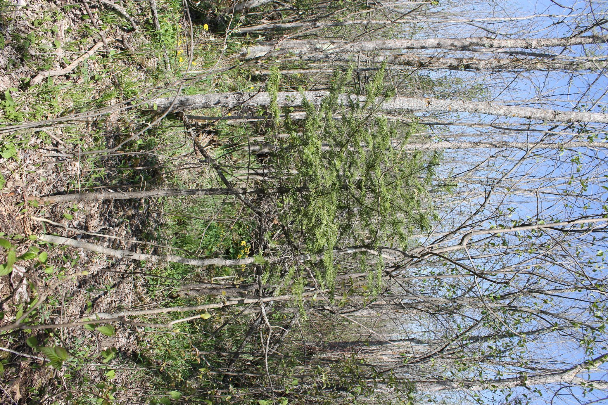 2668 M T Nelson Road Barnum, MN 55707 - Photo 15 of 25