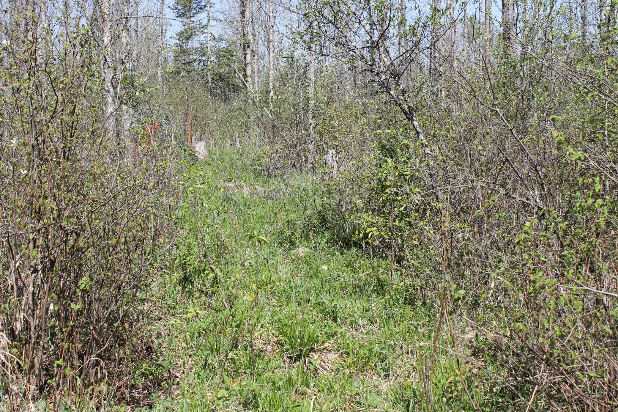 2668 M T Nelson Road Barnum, MN 55707 - Photo 22 of 25