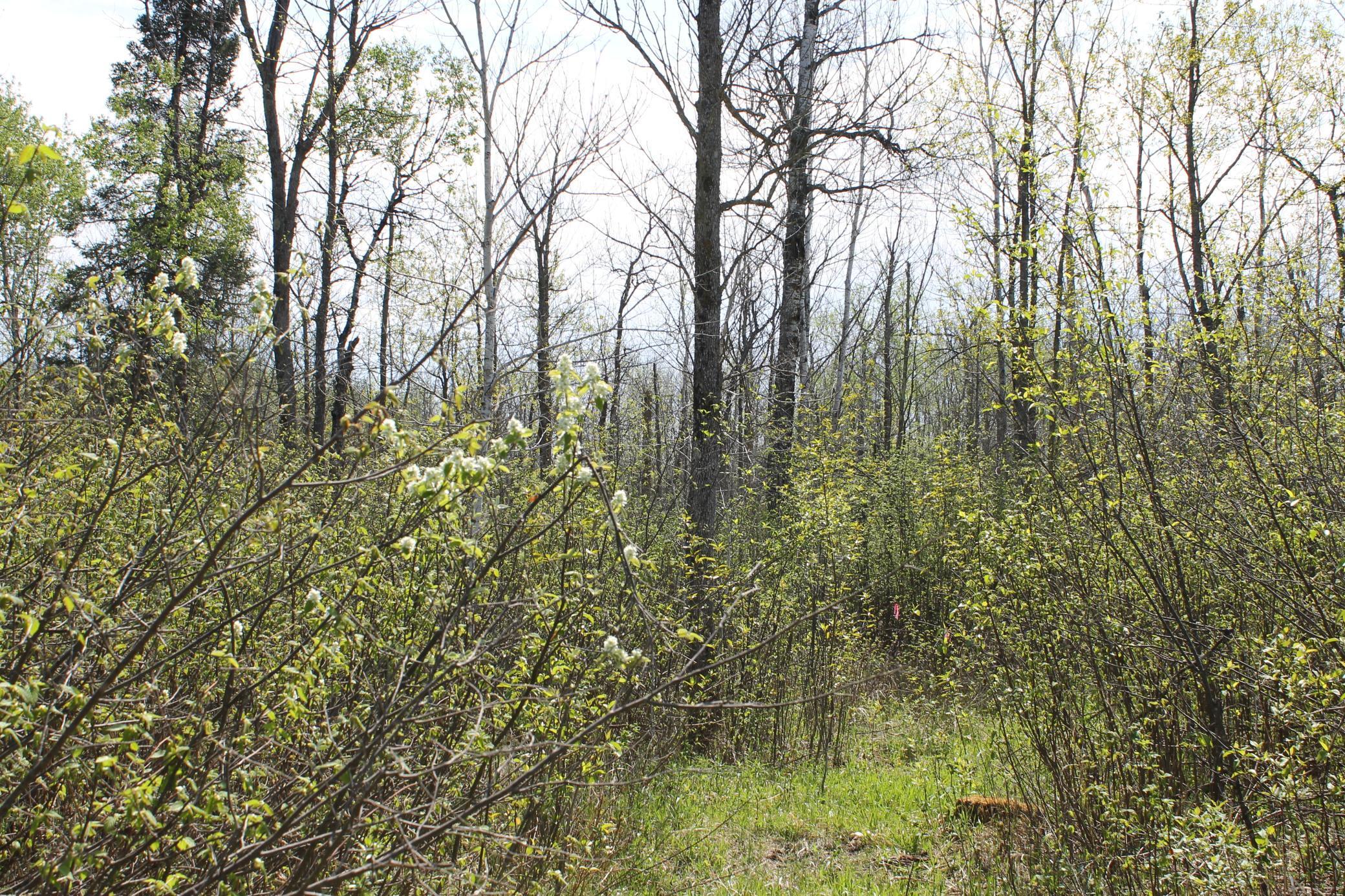 2668 M T Nelson Road Barnum, MN 55707 - Photo 23 of 25