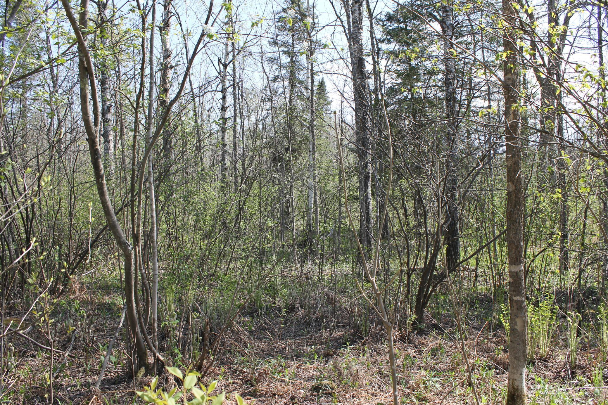 2668 M T Nelson Road Barnum, MN 55707 - Photo 9 of 25