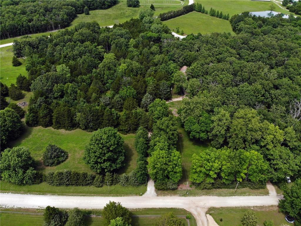22303 County 253 Road Wheatland, MO 65779 - Photo 2 of 30