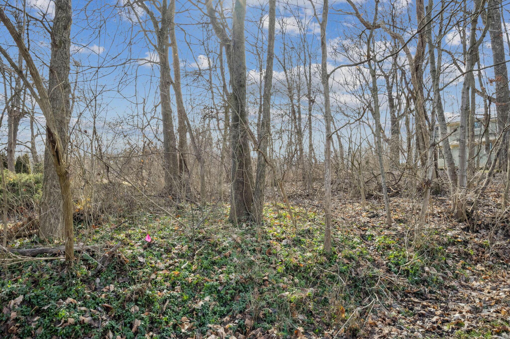 0 Goode Road Powell, OH 43065 - Photo 19 of 34 Harriott Rd.