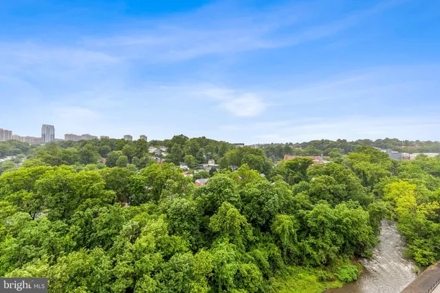 a view of a city with lush green forest