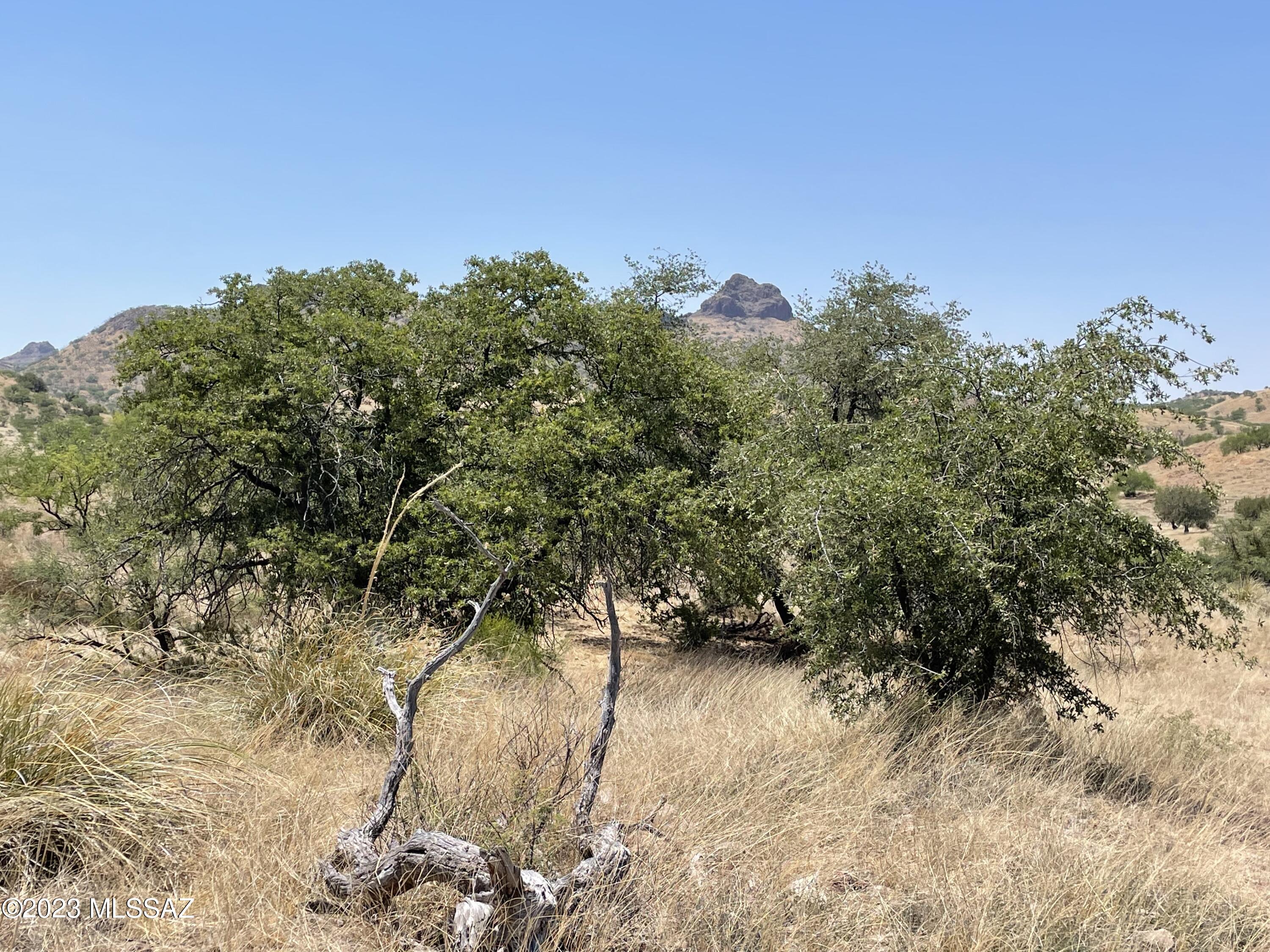 0 Montezuma Well Road, Unit 162 Rio Rico, AZ 85648 - Photo 8 of 26