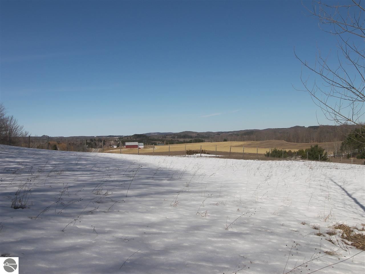 10470 South Cedar Road Cedar, MI 49621 - Photo 78 of 81 1796339-77.JPG