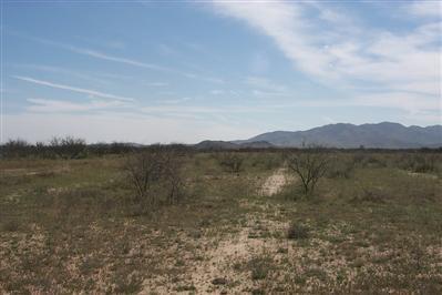 3758 North Joe Hines Road Willcox, AZ 85643 - Photo 2 of 6