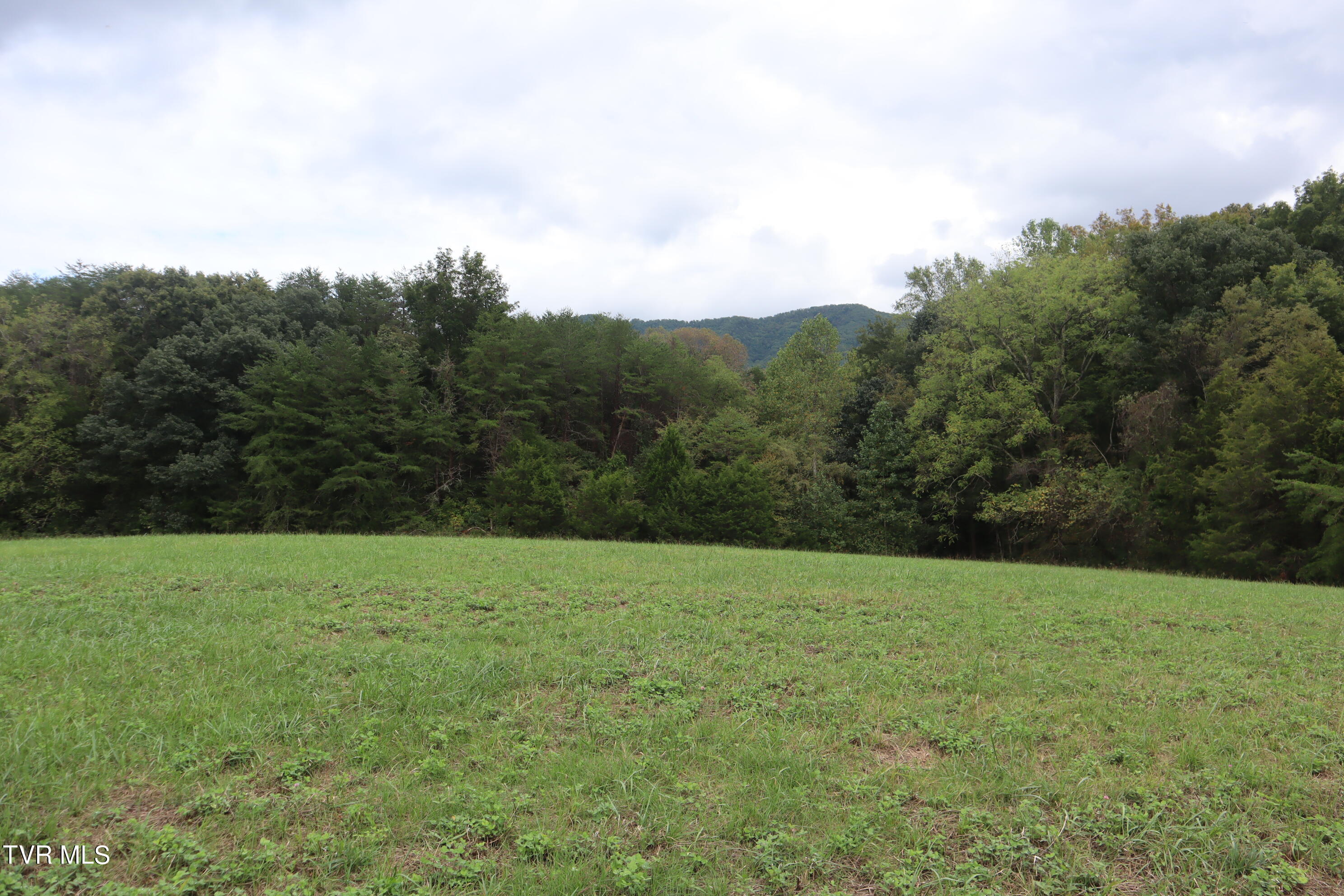 1120 Rocky Way Del Rio, TN 37727 - Photo 59 of 70 IMG_1697