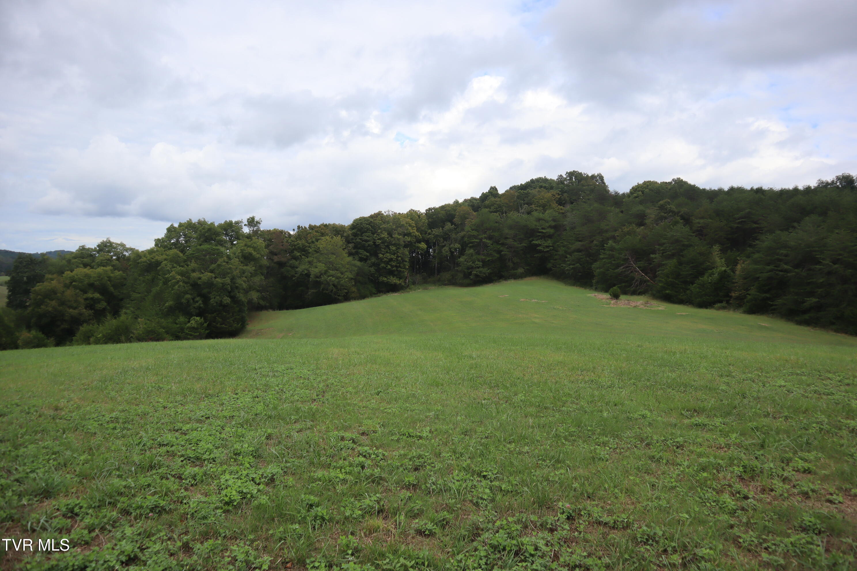1120 Rocky Way Del Rio, TN 37727 - Photo 60 of 70 IMG_1698