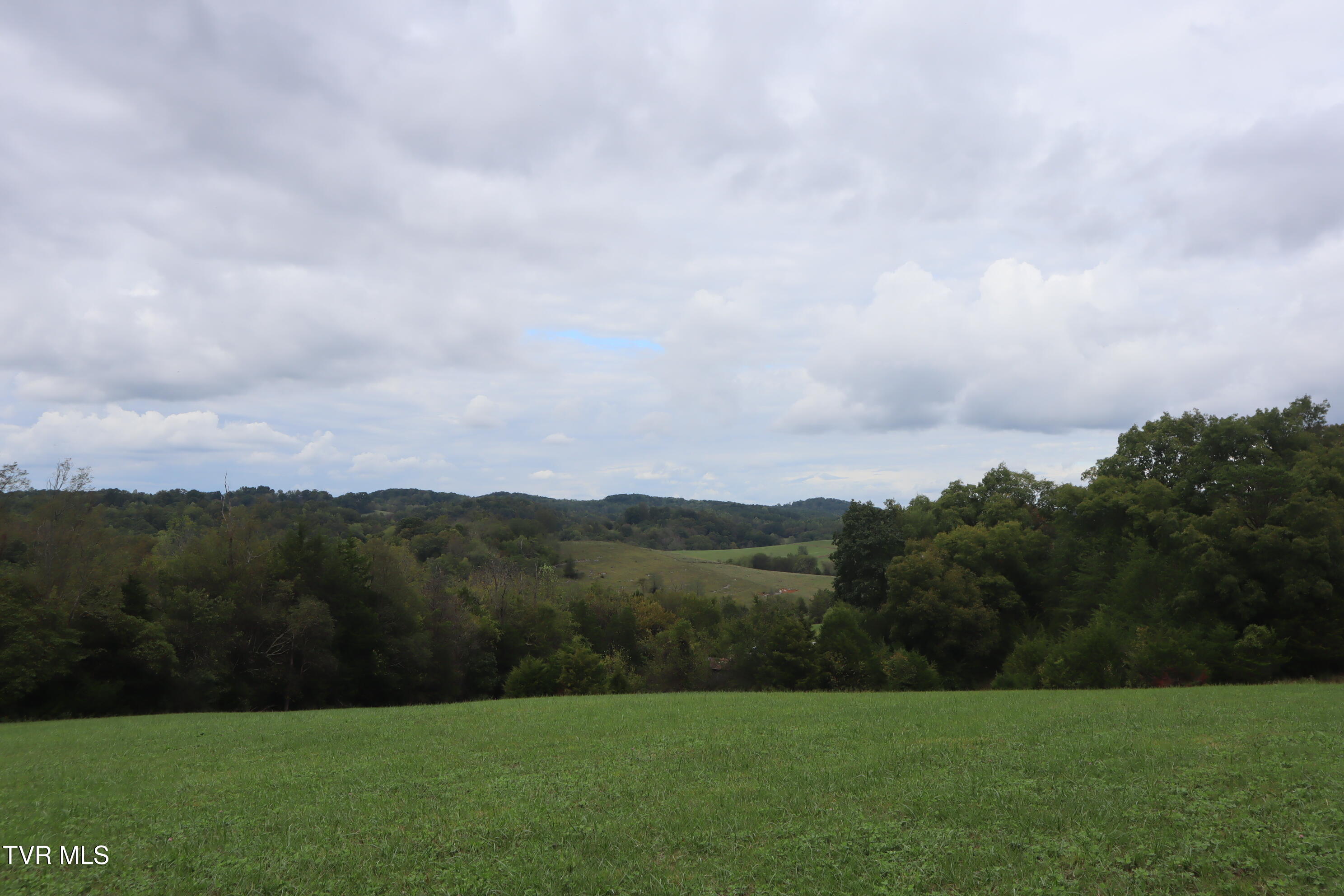 1120 Rocky Way Del Rio, TN 37727 - Photo 61 of 70 IMG_1702