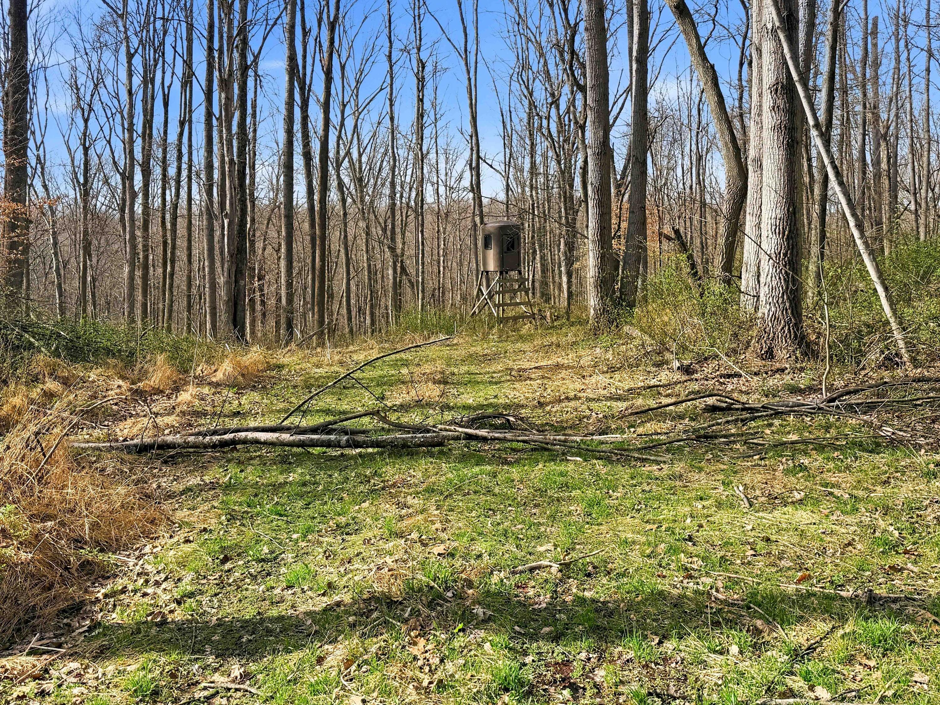 22470 Griffith Road Logan, OH 43138 - Photo 10 of 29 Griffith Rd-10