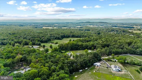 a view of a city with lush green forest