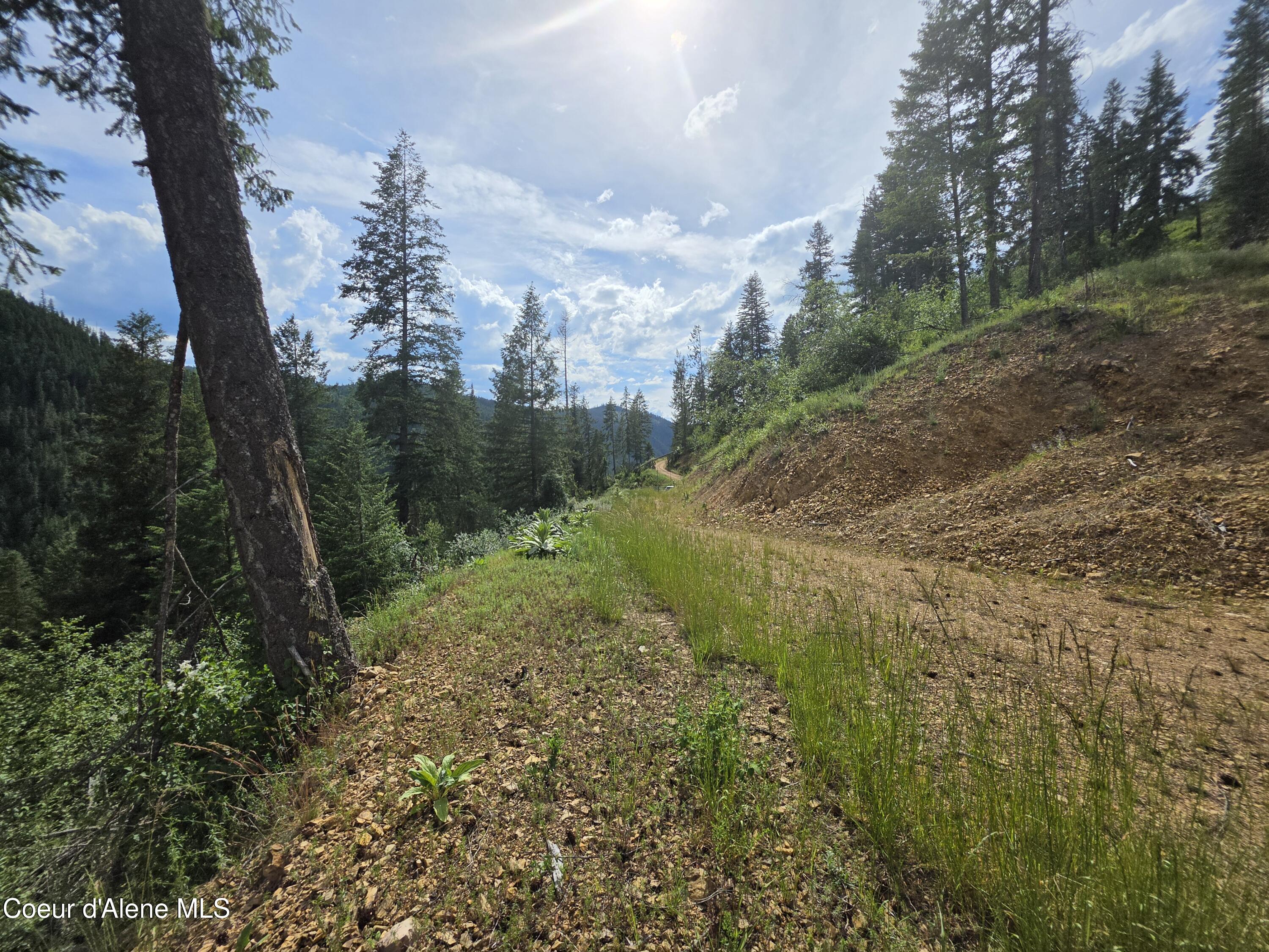 480 Dunn Peak Road Avery, ID 83802 - Photo 57 of 66 4th Building site