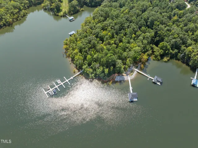 a view of a lake with a tree