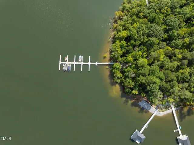 a view of a lake with a tree